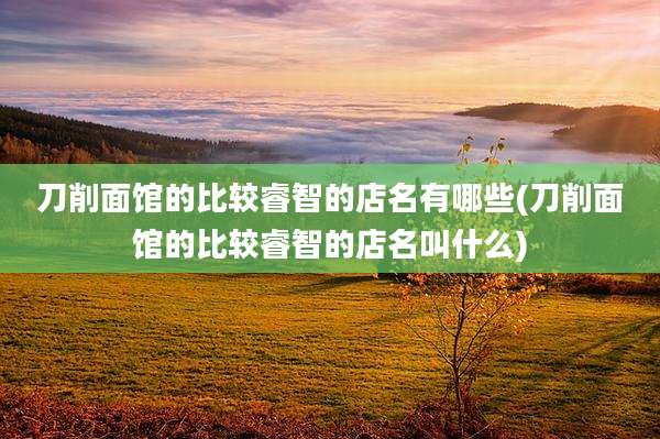 刀削面馆的比较睿智的店名有哪些(刀削面馆的比较睿智的店名叫什么)
