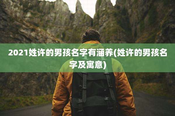2021姓许的男孩名字有涵养(姓许的男孩名字及寓意)