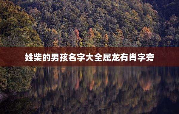 姓柴的男孩名字大全属龙有肖字旁