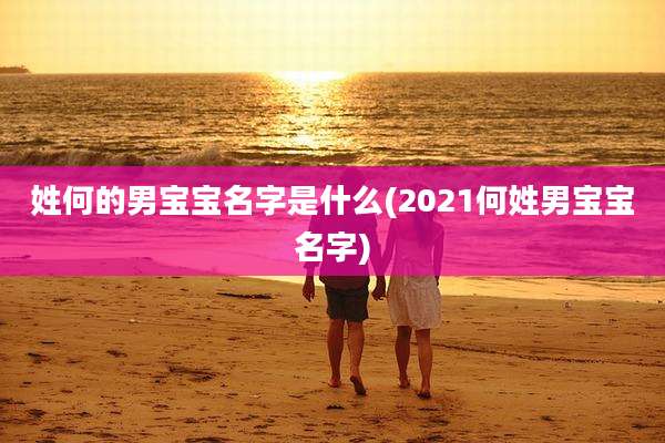 姓何的男宝宝名字是什么(2021何姓男宝宝名字)