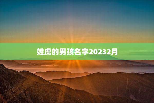 姓虎的男孩名字20232月