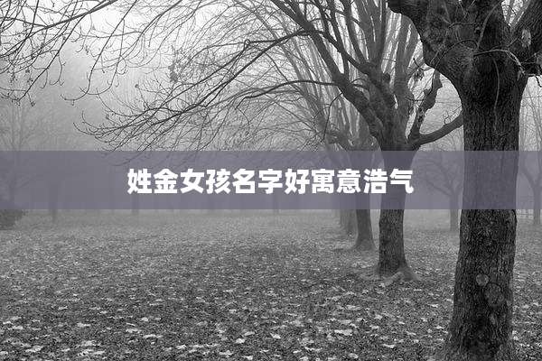 姓金女孩名字好寓意浩气