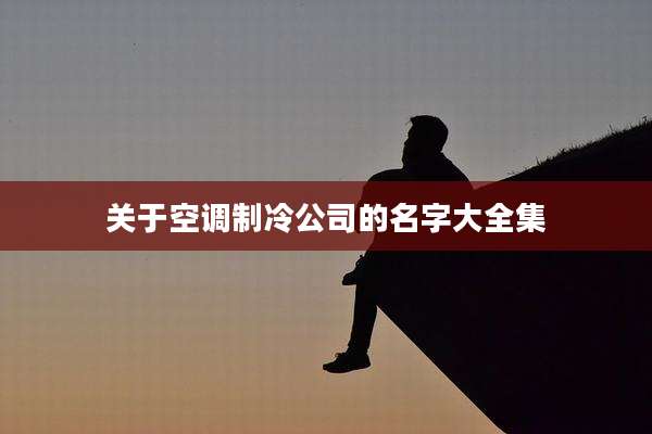 关于空调制冷公司的名字大全集