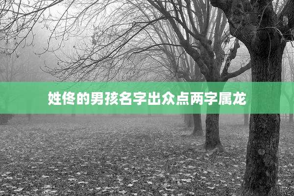姓佟的男孩名字出众点两字属龙