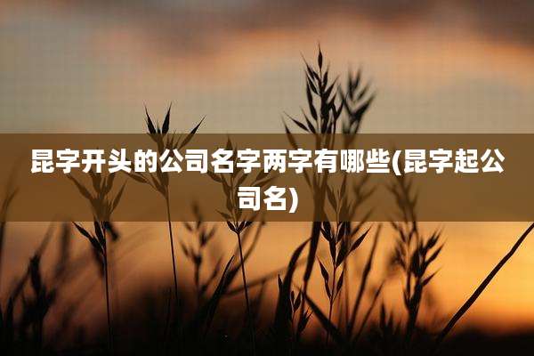 昆字开头的公司名字两字有哪些(昆字起公司名)