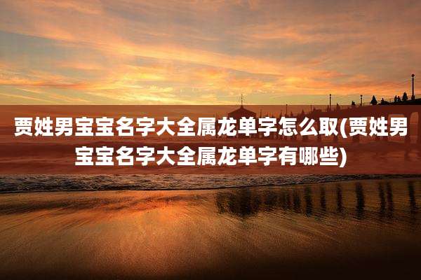 贾姓男宝宝名字大全属龙单字怎么取(贾姓男宝宝名字大全属龙单字有哪些)