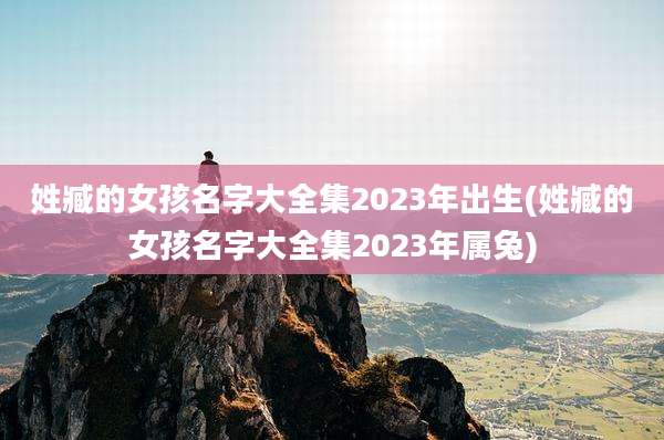 姓臧的女孩名字大全集2023年出生(姓臧的女孩名字大全集2023年属兔)