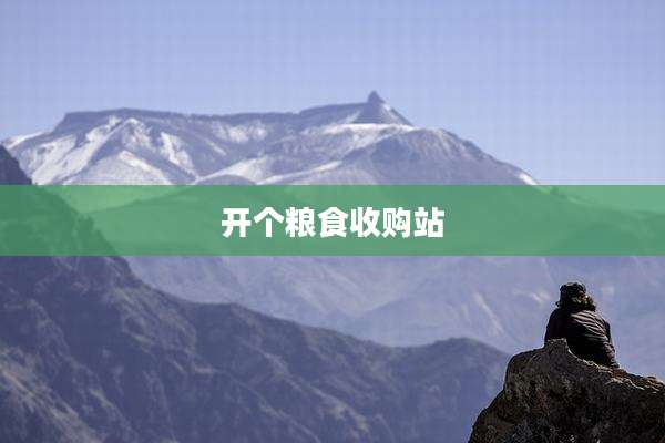 开个粮食收购站