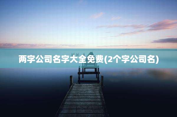 两字公司名字大全免费(2个字公司名)