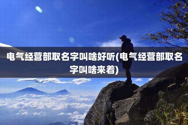 电气经营部取名字叫啥好听(电气经营部取名字叫啥来着)