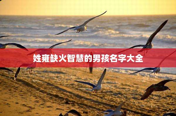姓雍缺火智慧的男孩名字大全