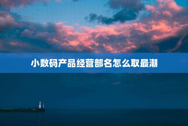 小数码产品经营部名怎么取最潮