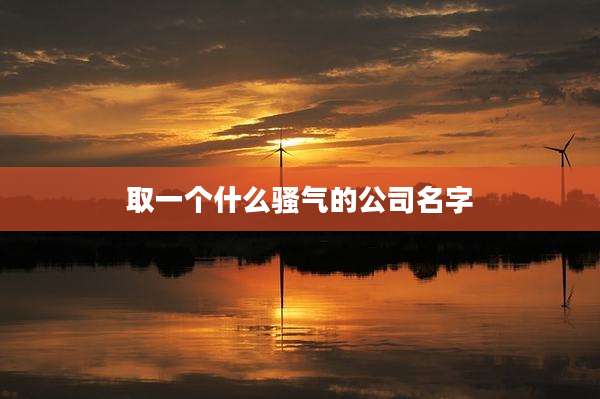 取一个什么骚气的公司名字