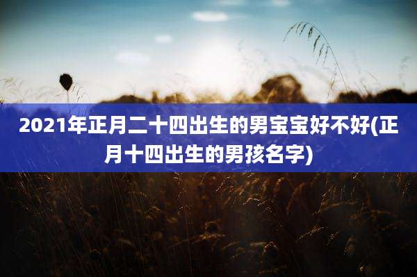 2021年正月二十四出生的男宝宝好不好(正月十四出生的男孩名字)