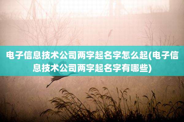 电子信息技术公司两字起名字怎么起(电子信息技术公司两字起名字有哪些)