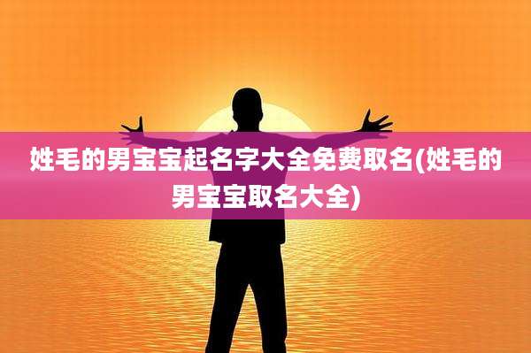 姓毛的男宝宝起名字大全免费取名(姓毛的男宝宝取名大全)