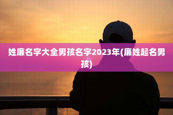 姓廉名字大全男孩名字2023年(廉姓起名男孩)
