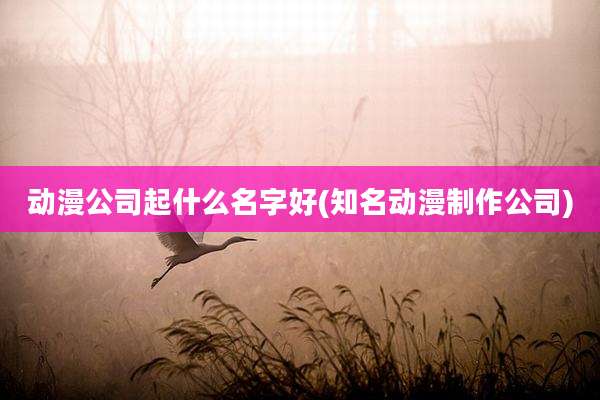 动漫公司起什么名字好(知名动漫制作公司)