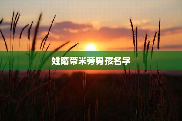 姓隋带米旁男孩名字