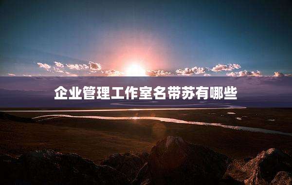 企业管理工作室名带苏有哪些