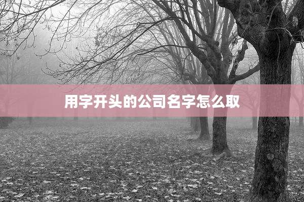 用字开头的公司名字怎么取