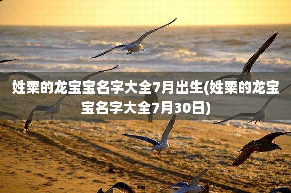 姓粟的龙宝宝名字大全7月出生(姓粟的龙宝宝名字大全7月30日)