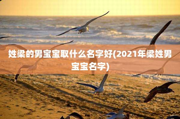 姓梁的男宝宝取什么名字好(2021年梁姓男宝宝名字)