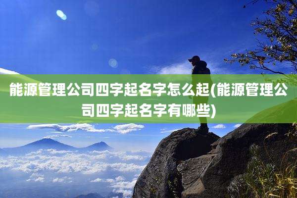 能源管理公司四字起名字怎么起(能源管理公司四字起名字有哪些)