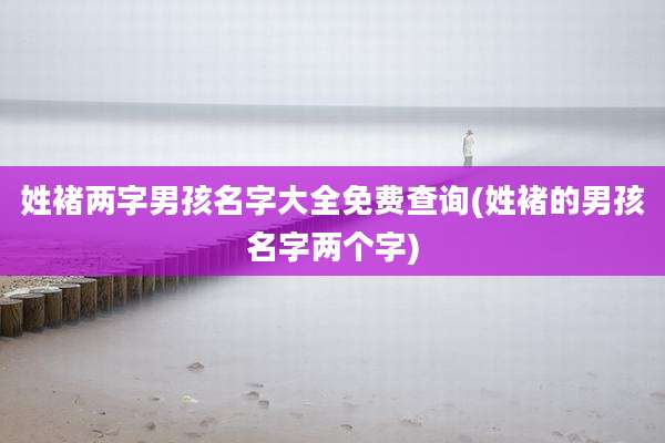 姓褚两字男孩名字大全免费查询(姓褚的男孩名字两个字)