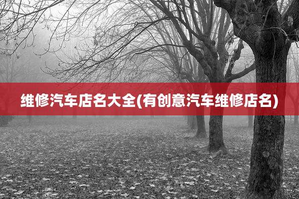 维修汽车店名大全(有创意汽车维修店名)