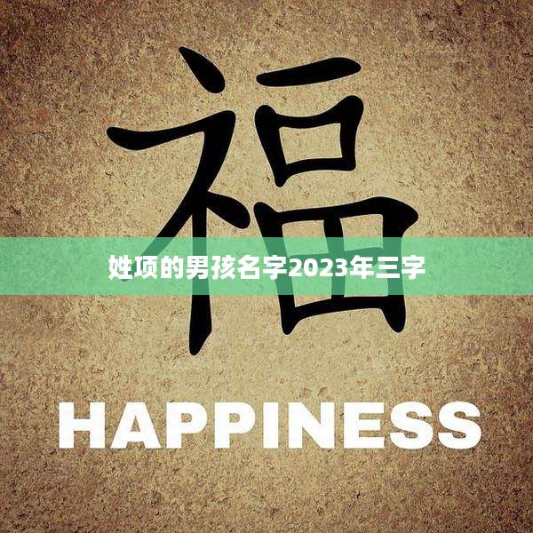 姓项的男孩名字2023年三字