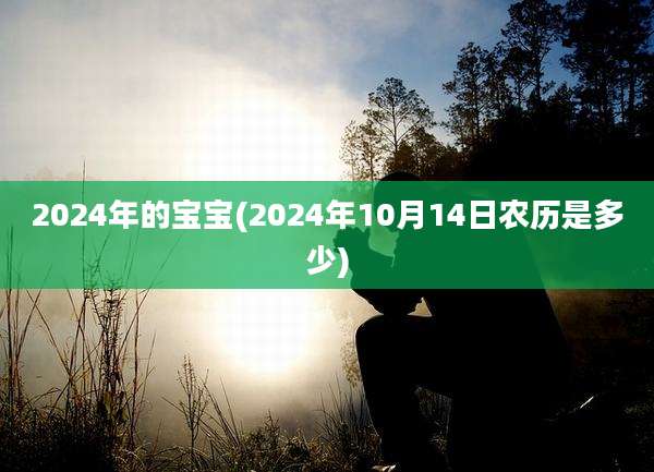 2024年的宝宝(2024年10月14日农历是多少)