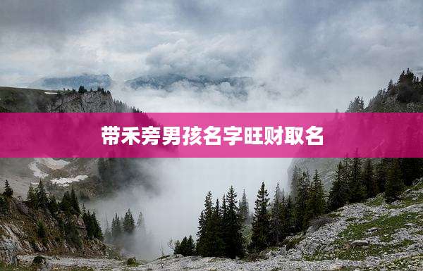 带禾旁男孩名字旺财取名