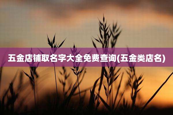 五金店铺取名字大全免费查询(五金类店名)