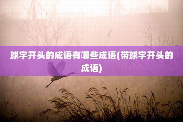 球字开头的成语有哪些成语(带球字开头的成语)