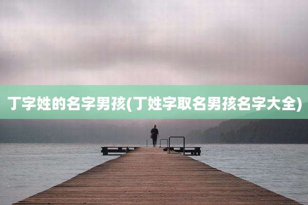 丁字姓的名字男孩(丁姓字取名男孩名字大全)