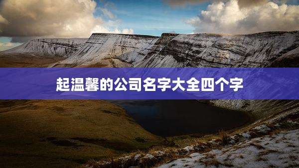 起温馨的公司名字大全四个字