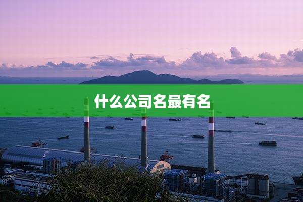 什么公司名最有名
