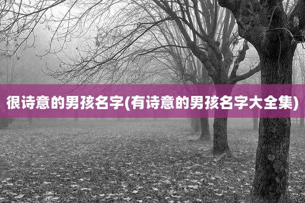 很诗意的男孩名字(有诗意的男孩名字大全集)