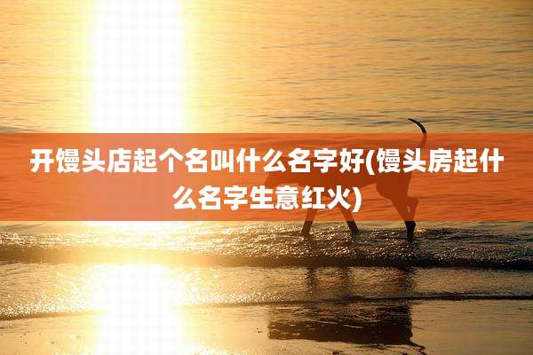 开馒头店起个名叫什么名字好(馒头房起什么名字生意红火)