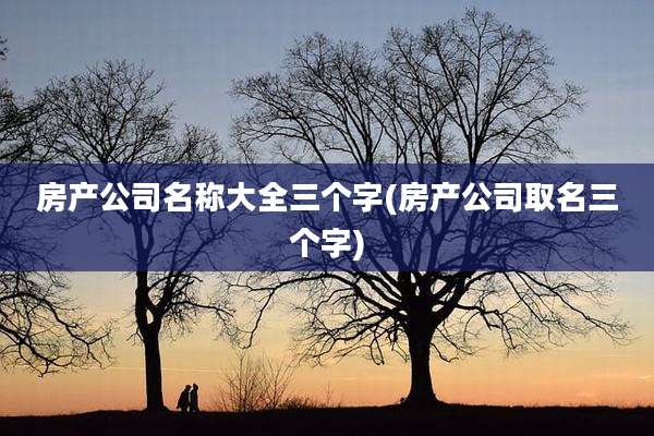 房产公司名称大全三个字(房产公司取名三个字)