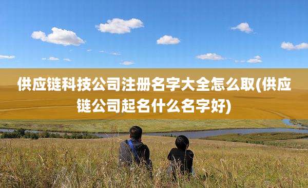 供应链科技公司注册名字大全怎么取(供应链公司起名什么名字好)
