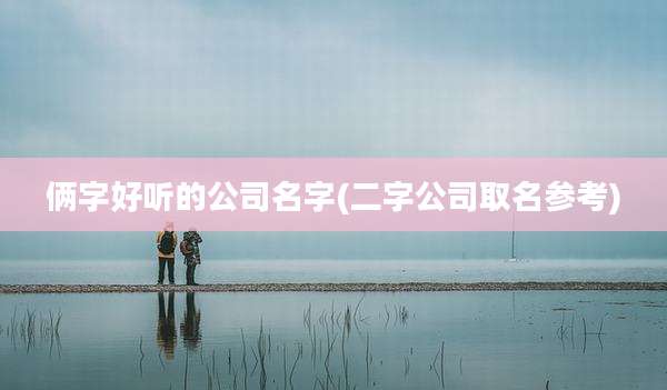 俩字好听的公司名字(二字公司取名参考)
