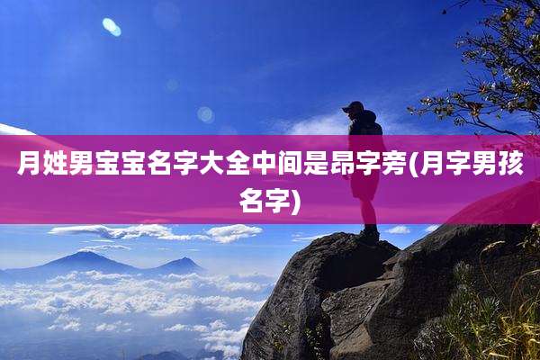 月姓男宝宝名字大全中间是昂字旁(月字男孩名字)