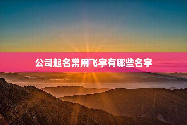 公司起名常用飞字有哪些名字