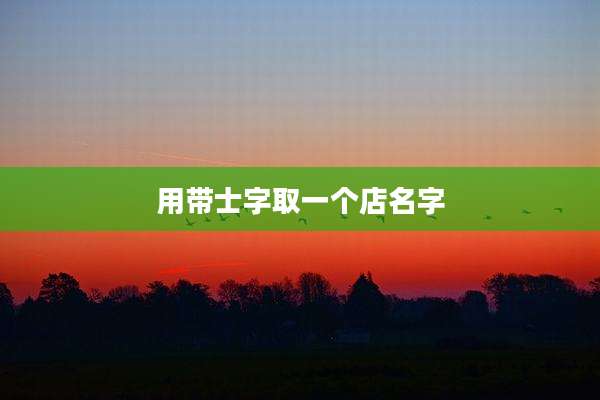 用带士字取一个店名字