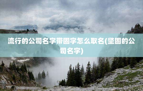 流行的公司名字带固字怎么取名(坚固的公司名字)