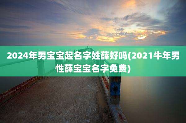 2024年男宝宝起名字姓薛好吗(2021牛年男性薛宝宝名字免费)