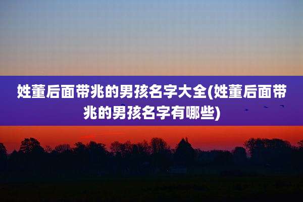 姓董后面带兆的男孩名字大全(姓董后面带兆的男孩名字有哪些)