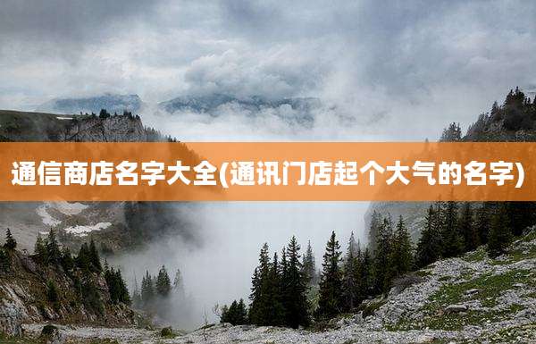 通信商店名字大全(通讯门店起个大气的名字)